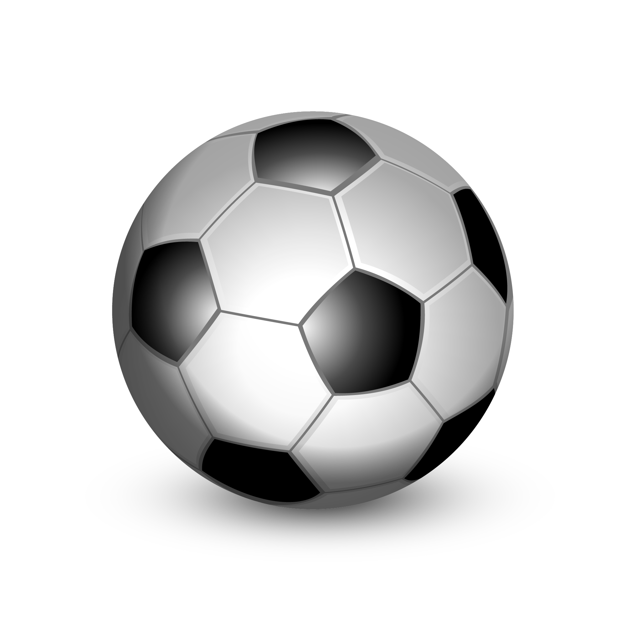 Soccer LLM for Player Valuation